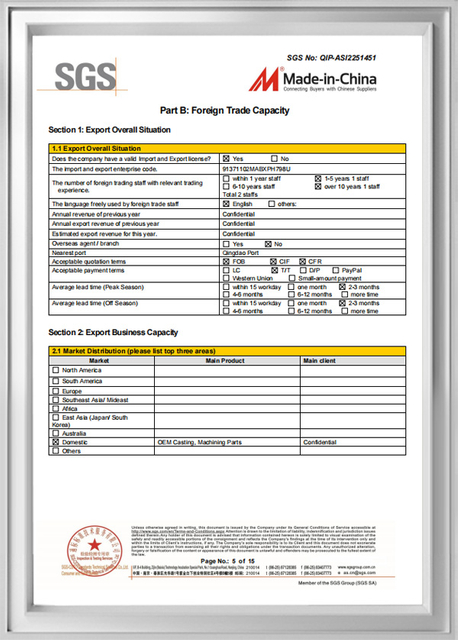 SGS product research development audit record